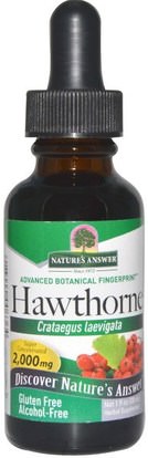 Natures Answer, Hawthorne, Alcohol-Free, 2000 mg, 1 fl oz (30 ml) ,الأعشاب، الزعرور