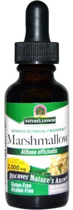 Natures Answer, Marshmallow, Alcohol Free, 2,000 mg, 1 fl oz (30 ml) ,الأعشاب، الجذر الخطمي