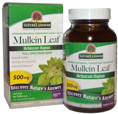 Natures Answer, Mullein Leaf, 500 mg, 90 Vegetarian Capsules ,الصحة، الرئة و الشعب الهوائية، مولين