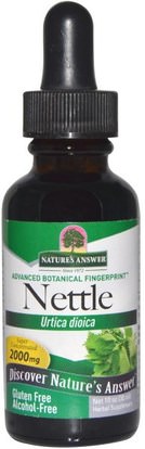 Natures Answer, Nettle, Urtica Dioica, 2,000 mg, 1 fl oz (30 ml) ,الأعشاب، القراص، اللعنة، جذر نبات القراص، روت