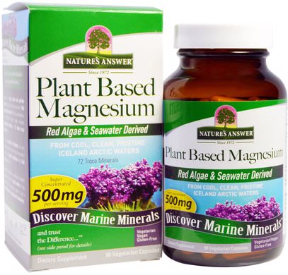Natures Answer, Plant Based Magnesium, 500 mg, 90 Vegetarian Capsules ,المكملات الغذائية، المعادن، المغنيسيوم