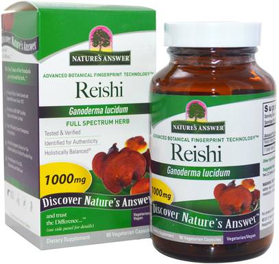 Natures Answer, Reishi, 1000 mg, 90 Vegetarian Capsules ,المكملات الغذائية، الفطر الطبية، الفطر ريشي، كبسولات الفطر