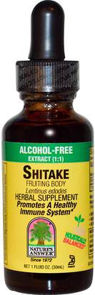 Natures Answer, Shitake Fruiting Body, Alcohol-Free, 1 fl oz (30 ml) ,المكملات الغذائية، الفطر الطبية، الفطر شييتاك، أدابتوغين