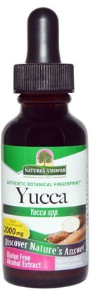 Natures Answer, Yucca, Alcohol Extract, 2000 mg, 1 fl oz (30 ml) ,الأعشاب، يوكا