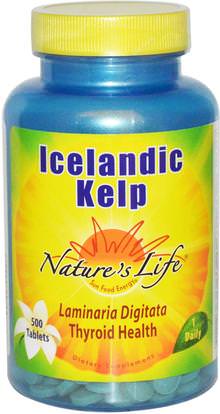 Natures Life, Icelandic Kelp, 500 Tablets ,المكملات الغذائية، الطحالب المختلفة، عشب البحر، الصحة، الغدة الدرقية