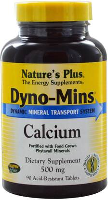 Natures Plus, Dyno-Mins, Calcium, 500 mg, 90 Acid-Resistant Tablets ,والمكملات الغذائية، والمعادن، والكالسيوم والمغنيسيوم
