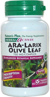 Natures Plus, Herbal Actives, ARA-Larix Olive Leaf Complex, 750 mg, 60 Veggie Caps ,الصحة، إنفلونزا البرد، &، فيروسي، ورقة للنبات الزيتون