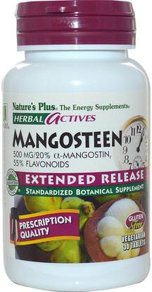 Natures Plus, Herbal Actives, Mangosteen, Extended Release, 500 mg, 30 Tablets ,المكملات الغذائية، مقتطفات الفاكهة، الفواكه السوبر، مانغوستين استخراج عصير