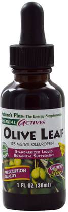 Natures Plus, Herbal Actives, Olive Leaf, Alcohol Free, 1 fl oz (30 ml) ,الصحة، إنفلونزا البرد، &، فيروسي، ورقة للنبات الزيتون