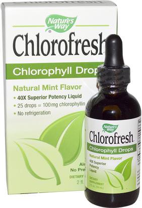 Natures Way, Chlorofresh, Chlorophyll Drops, Natural Mint Flavor, 2 fl oz (59 ml) ,المكملات الغذائية، الكلوروفيل