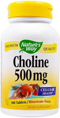 Natures Way, Choline, 500 mg, 100 Tablets ,الفيتامينات، فيتامين ب