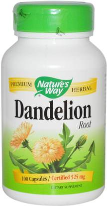 Natures Way, Dandelion Root, 525 mg, 100 Capsules ,الأعشاب، جذر الهندباء من البرية