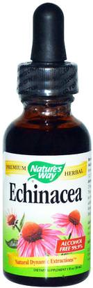 Natures Way, Echinacea, Alcohol Free 99.9%, 1 fl oz (30 ml) ,المكملات الغذائية، المضادات الحيوية