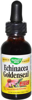 Natures Way, Echinacea Goldenseal, Alcohol Free 99.9%, 1 fl oz (30 ml) ,المكملات الغذائية، المضادات الحيوية