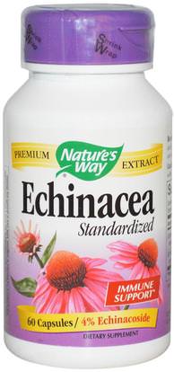 Natures Way, Echinacea, Standardized, 60 Capsules ,المكملات الغذائية، المضادات الحيوية