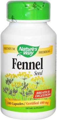 Natures Way, Fennel Seed, 480 mg, 100 Capsules ,المكملات الغذائية، الأعشاب