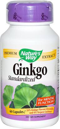 Natures Way, Ginkgo, Standardized, 60 Capsules ,المكملات الغذائية، الأعشاب