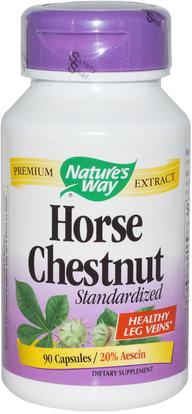 Natures Way, Horse Chestnut Standardized, 90 Capsules ,المكملات الغذائية، الأعشاب