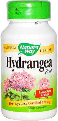 Natures Way, Hydrangea Root, 370 mg, 100 Capsules ,المكملات الغذائية، الأعشاب