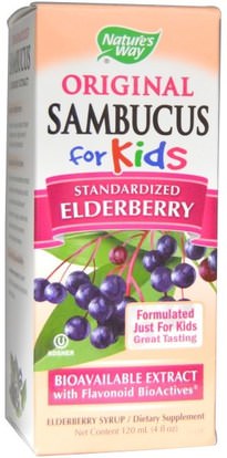 Natures Way, Original Sambucus for Kids, Standardized Elderberry, 4 fl oz (120 ml) ,والصحة، والانفلونزا الباردة والفيروسية، ونظام المناعة