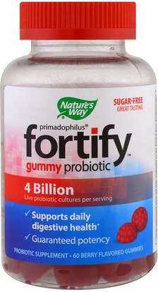 Natures Way, Primadophilus, Fortify, Gummy Probiotic, Sugar-Free, 60 Berry Flavored Gummies ,المكملات الغذائية، البروبيوتيك