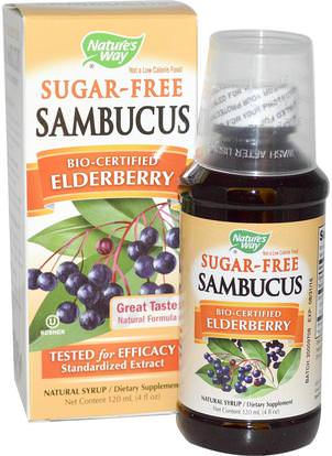 Natures Way, Sambucus, Bio-Certified Elderberry, Sugar-Free, Natural Syrup, 4 fl oz (120 ml) ,الصحة، الإنفلونزا الباردة والفيروسية، إلديربيري (سامبوكوس)