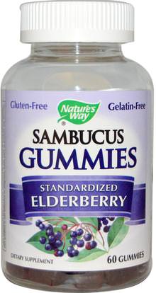 Natures Way, Sambucus Gummies, Standardized Elderberry, 60 Gummies ,الصحة، الإنفلونزا الباردة والفيروسية، إلديربيري (سامبوكوس)