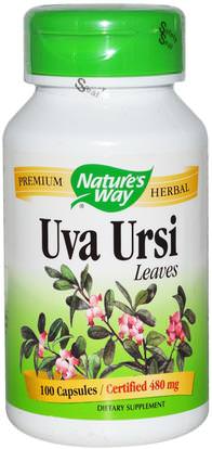 Natures Way, Uva Ursi, Leaves, 100 Capsules ,الأعشاب، أوفا أورسي