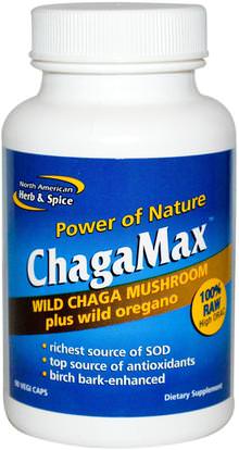 North American Herb & Spice Co., ChagaMax, Wild Chaga Mushroom Plus Wild Oregano, 90 Veggie Caps ,والمكملات الغذائية، والفطر الطبية، والفطر تشاغا