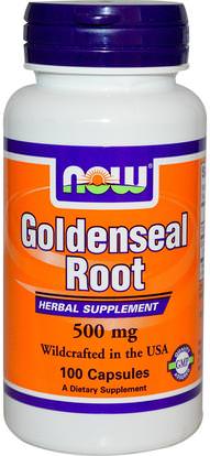 Now Foods, Goldenseal Root, 500 mg, 100 Capsules ,الأعشاب، الجذر غولدنسال