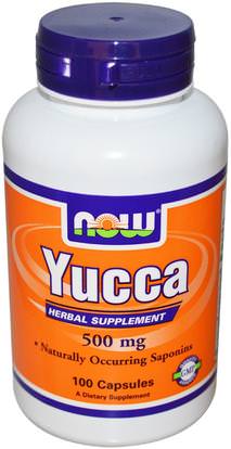 Now Foods, Yucca, 500 mg, 100 Capsules ,الأعشاب، يوكا