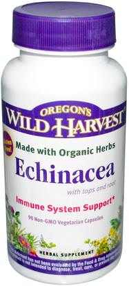 Oregons Wild Harvest, Echinacea, with Tops and Root, 90 Non-GMO Veggie Caps ,والمكملات الغذائية، والمضادات الحيوية، كبسولات إشنسا أقراص