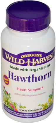 Oregons Wild Harvest, Hawthorn, 90 Non-GMO Veggie Caps ,الصحة، القلب القلب والأوعية الدموية الصحة، دعم القلب، الأعشاب، الزعرور