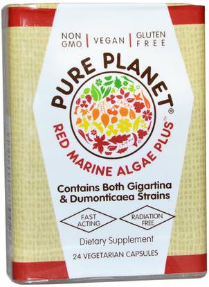 Pure Planet, Red Marine Algae Plus, 24 Veggie Caps ,المكملات الغذائية، الأحمر الطحالب البحرية المعدنية