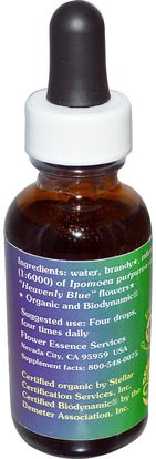 Herb-sa Flower Essence Services, Quintessentials, Morning Glory, Flower Essence, 1 fl oz (30 ml)