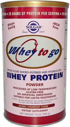 Solgar, Whey To Go, Whey Protein Powder, Natural Strawberry Flavor, 16 oz (454 g) ,المكملات الغذائية، بروتين مصل اللبن