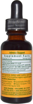 المكملات الغذائية، الكظرية، الصحة Herb Pharm, Adrenal Support, 1 fl oz (30 ml)