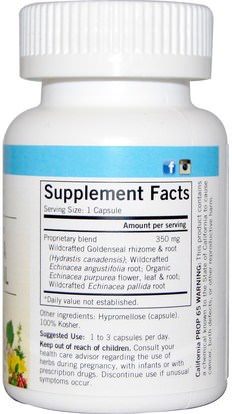 المكملات الغذائية، المضادات الحيوية، إشنسا و غولدنزيل Eclectic Institute, Raw, Echinacea Goldenseal, 350 mg, 90 Non-GMO Veggie Caps