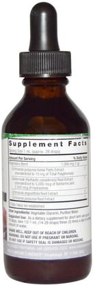 المكملات الغذائية، المضادات الحيوية، إشنسا و غولدنزيل Natures Answer, Echinacea & Goldenseal, Alcohol-Free, 1,000 mg, 2 fl oz (60 ml)