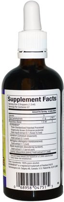 المكملات الغذائية، المضادات الحيوية، إشنسا، الأعشاب، لوميوم Natural Factors, Anti-V Formula, with Clinically Proven Echinamide, 3.4 fl oz (100 ml)