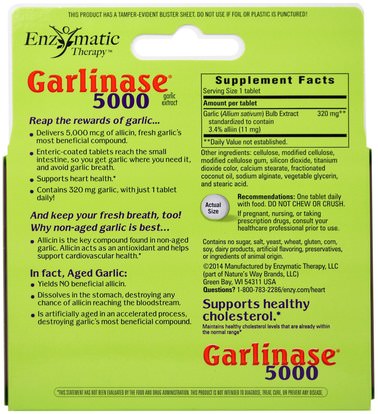المكملات الغذائية، المضادات الحيوية Enzymatic Therapy, Garlinase 5000, 100 Enteric-Coated Tablets
