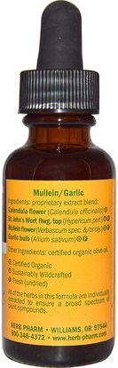 المكملات الغذائية، المضادات الحيوية، الثوم Herb Pharm, Mullein Garlic, Pure Ear Oil, 1 fl oz (30 ml)