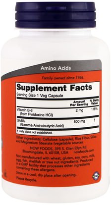 المكملات الغذائية، غابا (حمض غاما أمينوبوتيريك) Now Foods, GABA, 500 mg, 100 Veg Capsules