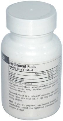 المكملات الغذائية، غاما أوريزانول، حمض الفيروليك Source Naturals, Gamma Oryzanol, 60 mg, 100 Tablets
