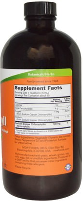 المكملات الغذائية، مزيل العرق الداخلي، الكلوروفيل Now Foods, Liquid Chlorophyll, Mint Flavor, 16 fl oz (473 ml)