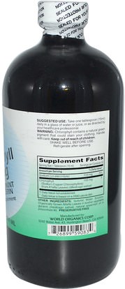 المكملات الغذائية، مزيل العرق الداخلي، النعناع World Organic, Liquid Chlorophyll, with Spearmint and Glycerin, 100 mg, 16 fl oz (474 ml)