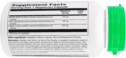 المكملات الغذائية، الفطر الطبية، الفطر مايتاك، أدابتوغين Solaray, Maitake Mushroom, 600 mg, 100 Veggie Caps