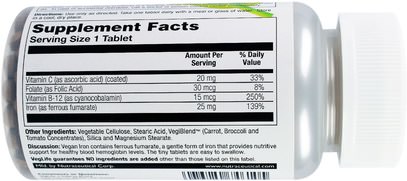 المكملات الغذائية، والمعادن، والحديد VegLife, Vegan Iron, 25 mg, 100 Tablets