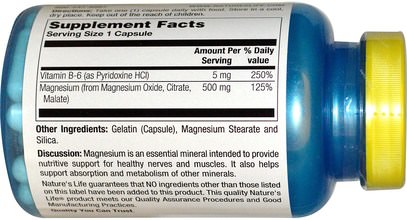 المكملات الغذائية، المعادن، المغنيسيوم Natures Life, Magnesium, 500 mg, 100 Capsules