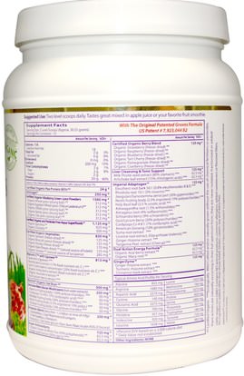 المكملات الغذائية، أوراك مضادات الأكسدة، سوبرفوودس، الخضر Paradise Herbs, ORAC-Energy, Protein & Greens, Original Unflavored, 16 oz (454 g)